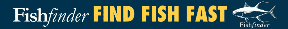 FishFinder Fishing Charters Sydney Logo