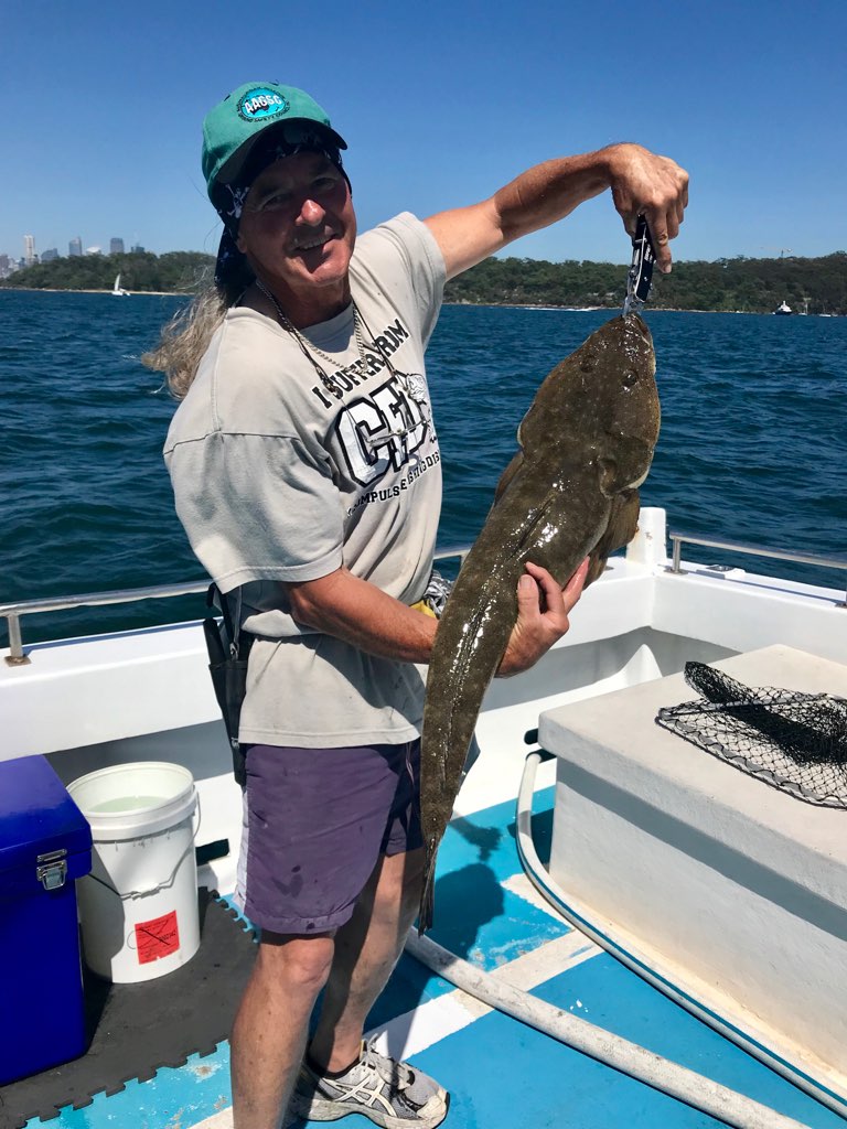 fishing charters sydney boat trips, harbour & deep sea